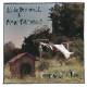 Edie Brickell & New Bohemians - Ghost Of A Dog