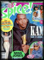 Spice cover