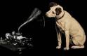 His Master's Voice
